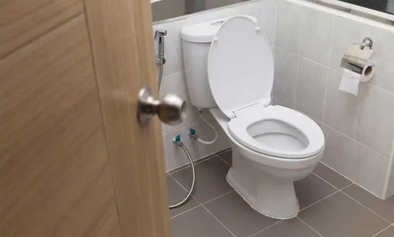 luxury-toilet